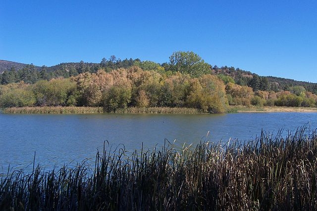 Eastern end of Lake Robert's in the Gila National Forest, New Mexico